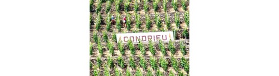 Condrieu 